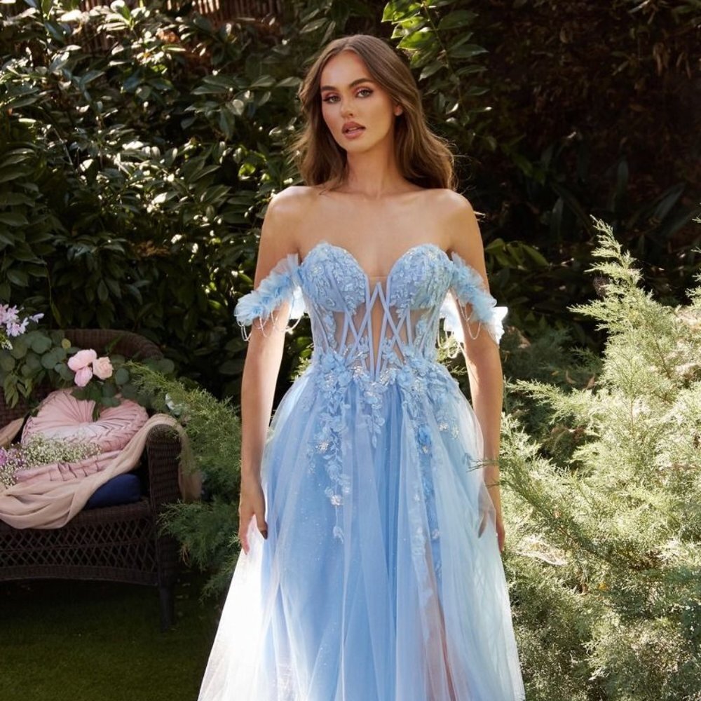 N/A New Formal A-Line Sleeveless Gown With Bonned Bodice & Floral Applqiue A1237